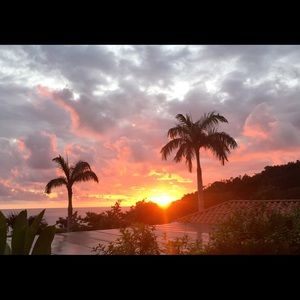 Meet your Posher, Theresa